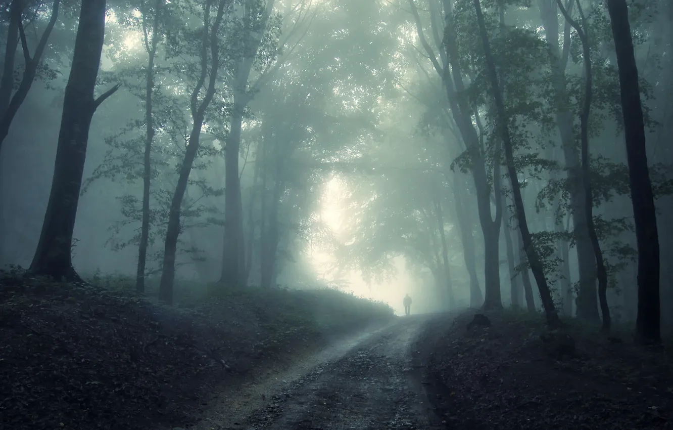 Photo wallpaper fog, fear, the darkness, people, Forest, Ghost, unpredictability