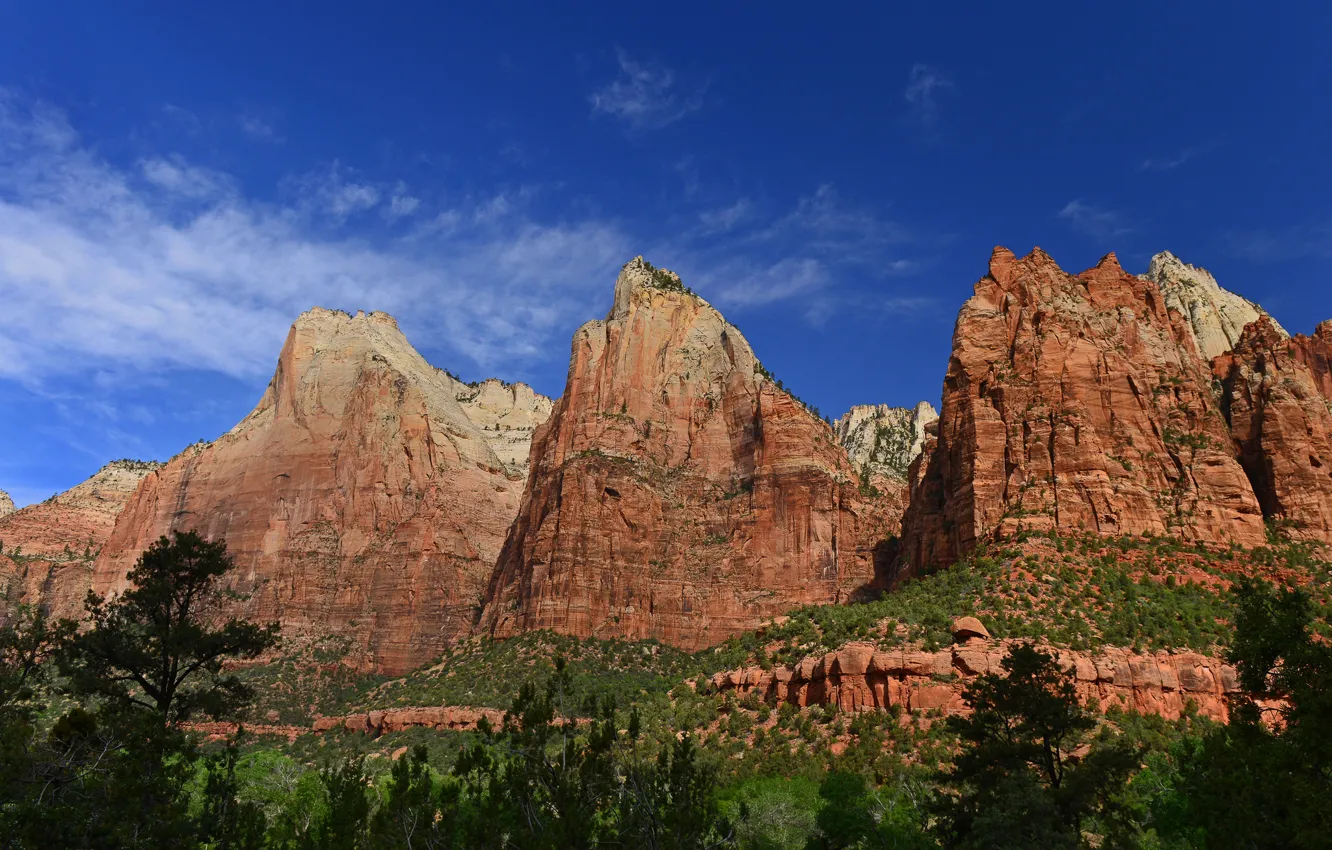 Photo wallpaper the sky, trees, mountains, tops, peak