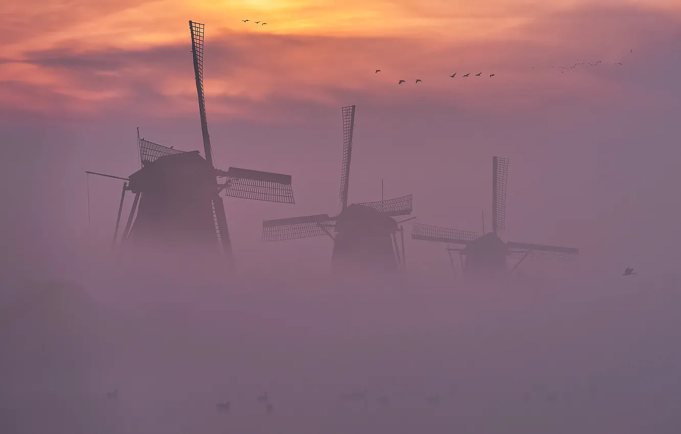 Photo wallpaper clouds, morning, windmills
