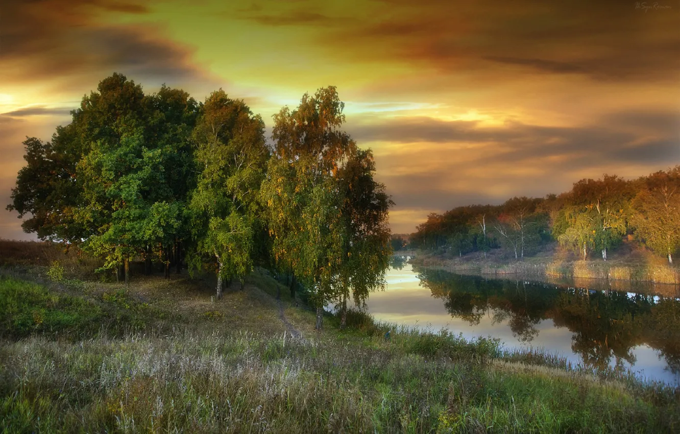 Photo wallpaper summer, trees, river, the evening, Roma Chitinskiy
