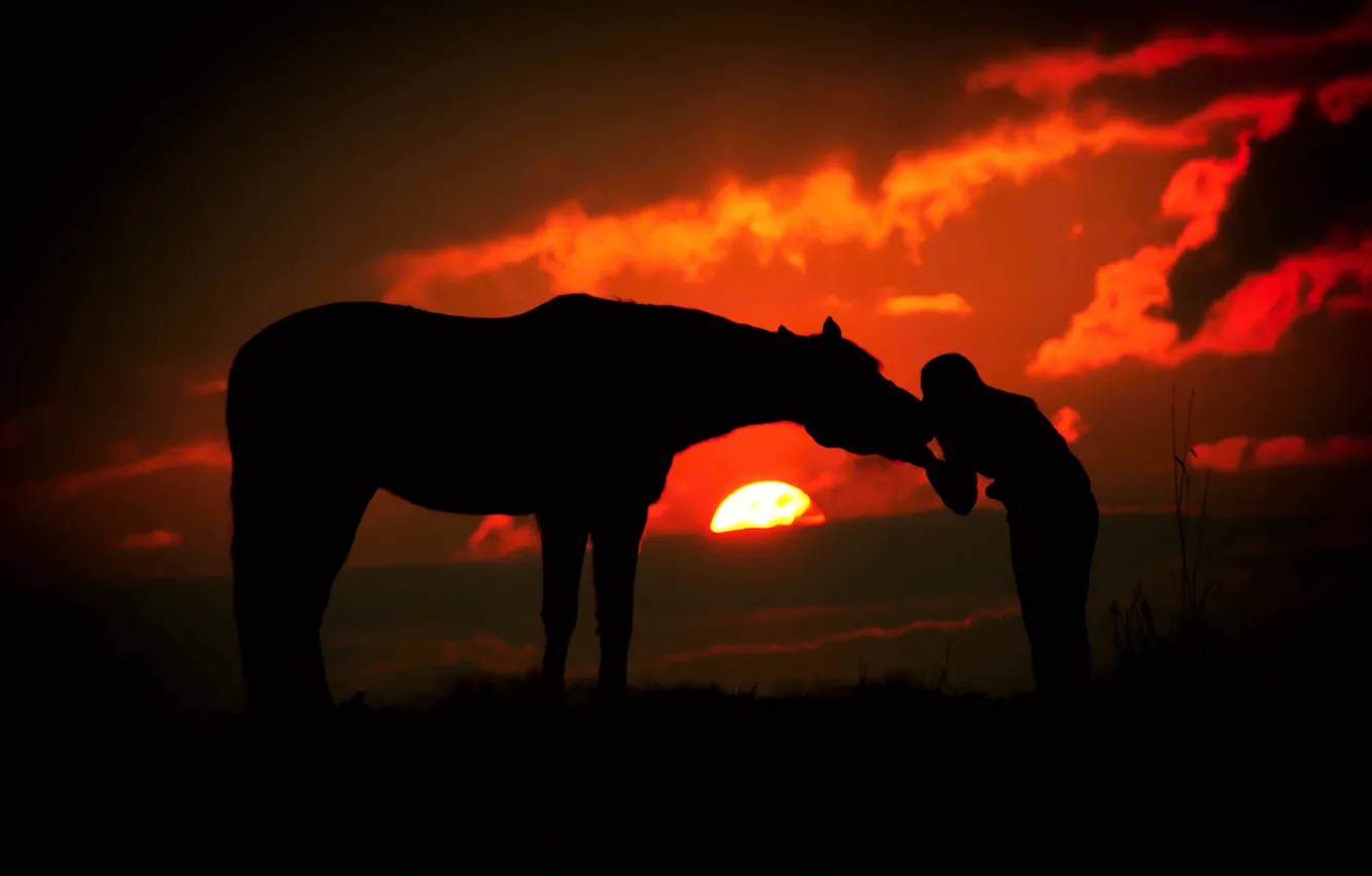 Photo wallpaper girl, the sun, clouds, sunset, horse, silhouettes