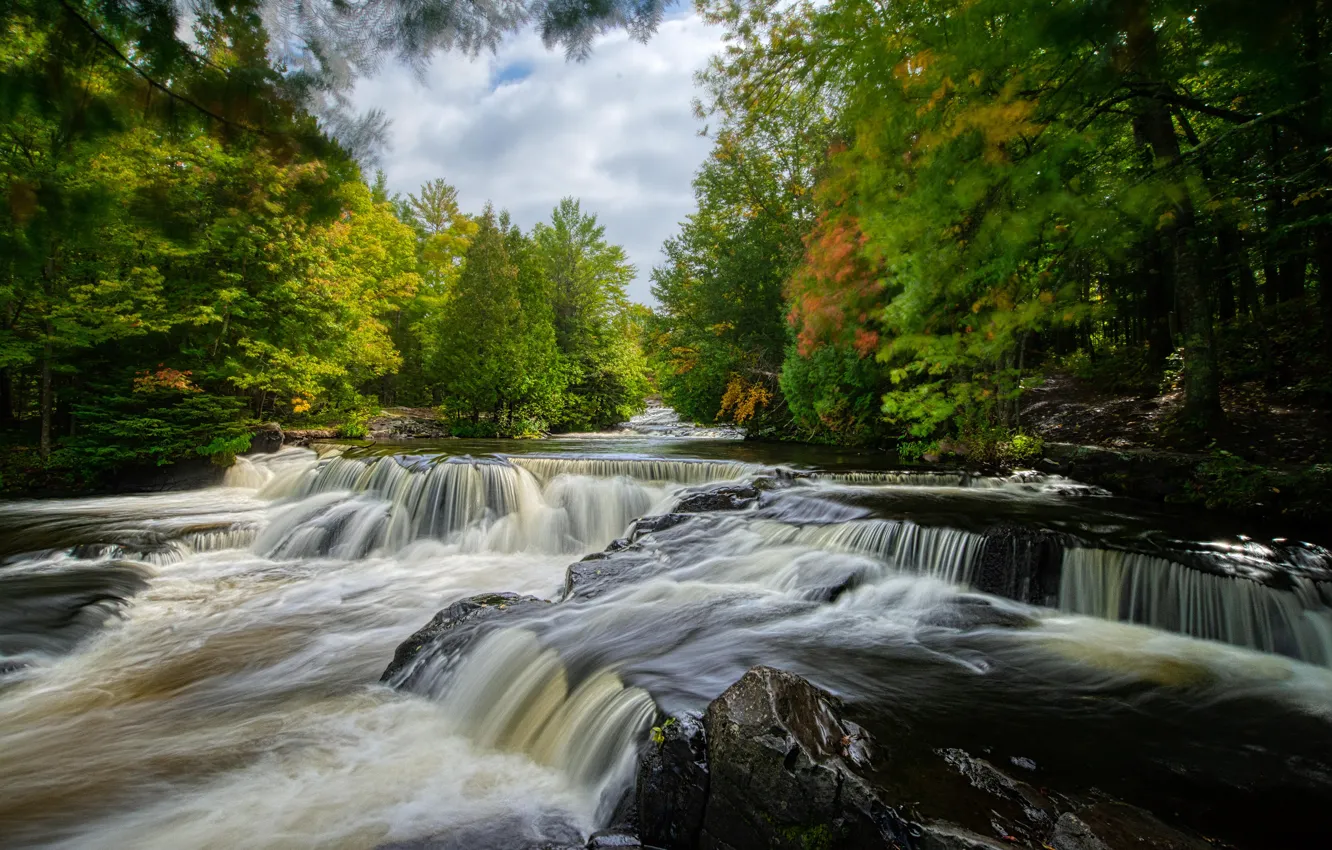 Photo wallpaper forest, river, for, waterfall, stream