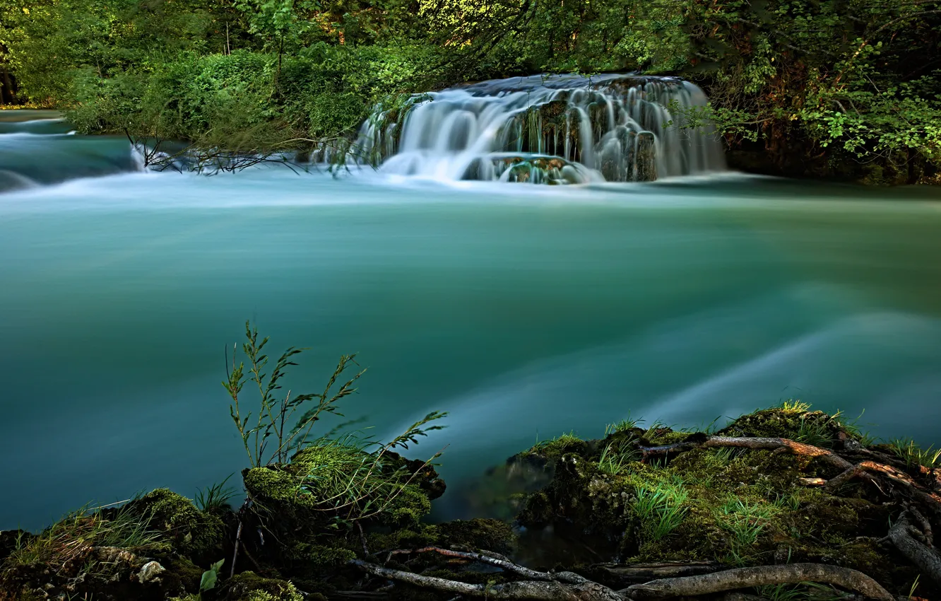 Photo wallpaper summer, grass, water, branches, nature, green, river, shore