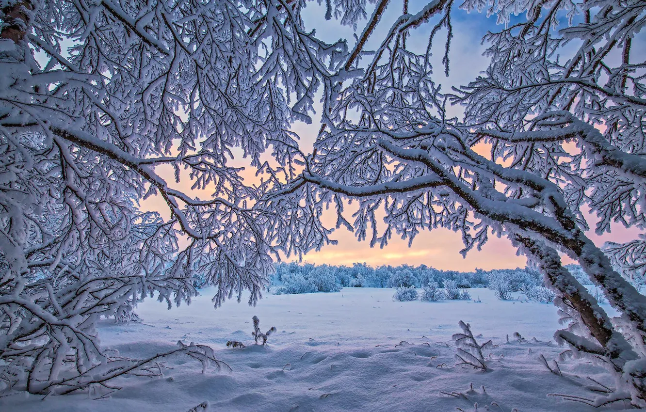 Photo wallpaper winter, snow, Finland