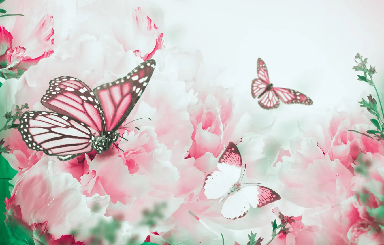 Photo wallpaper butterfly, flowers, branches, petals, flowering, butterfly, flowers, peonies