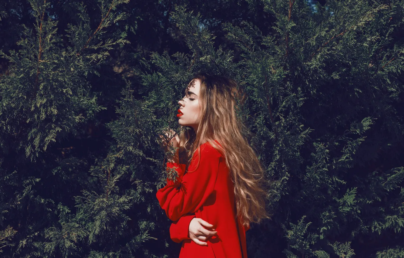 Photo wallpaper girl, red, dress, profile