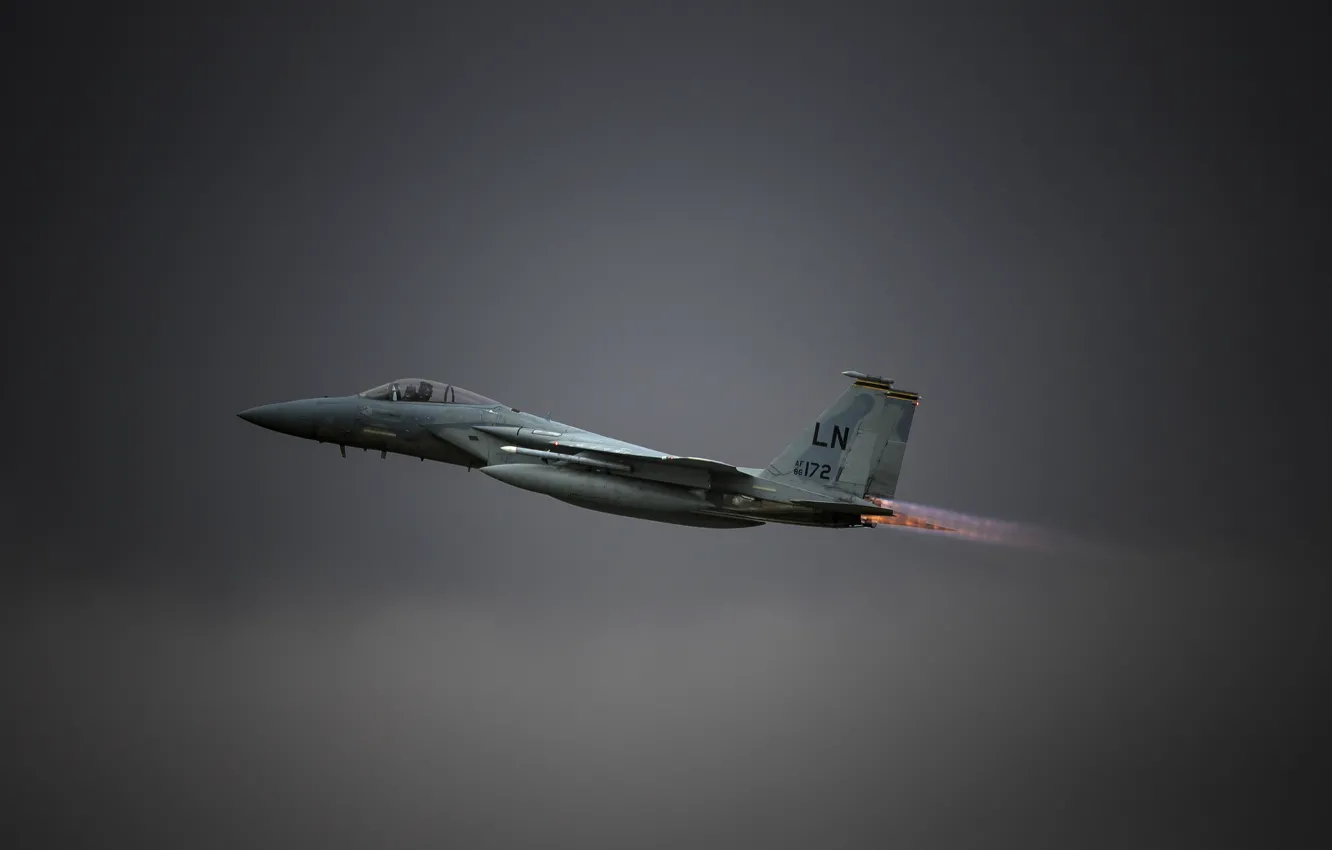 Photo wallpaper flight, fighter, Eagle, F-15C