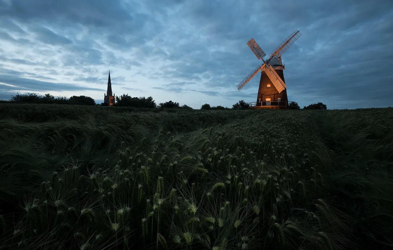 Photo wallpaper field, night, mill, ears