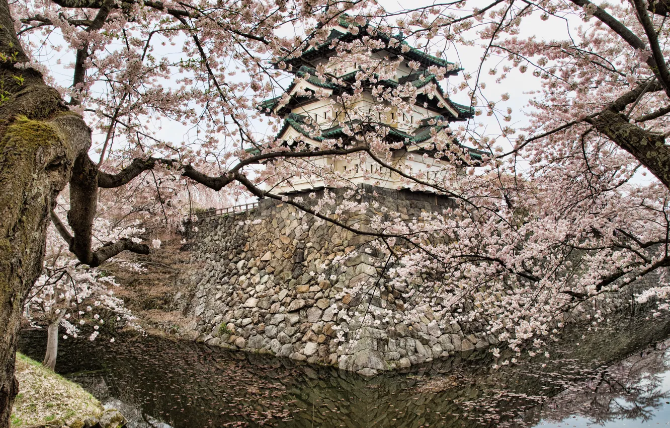Photo wallpaper water, reflection, trees, stones, spring, Japan, Sakura, masonry