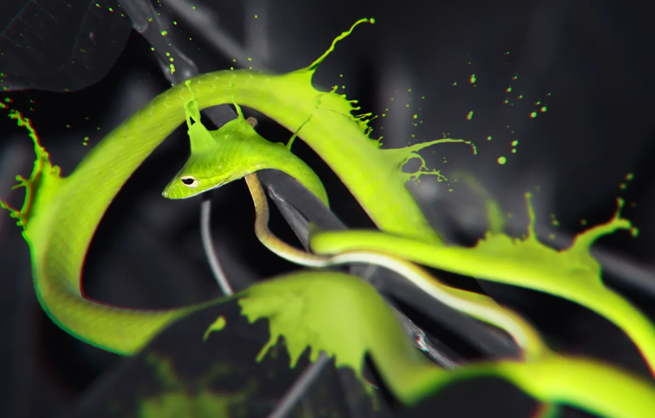 Photo wallpaper green, wallpaper, wood, Snake, splash, water effect