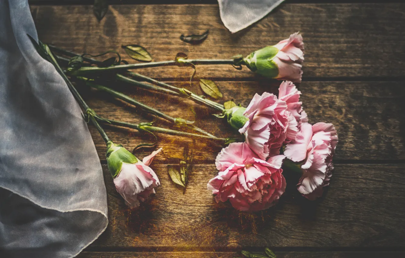 Photo wallpaper flowers, background, clove