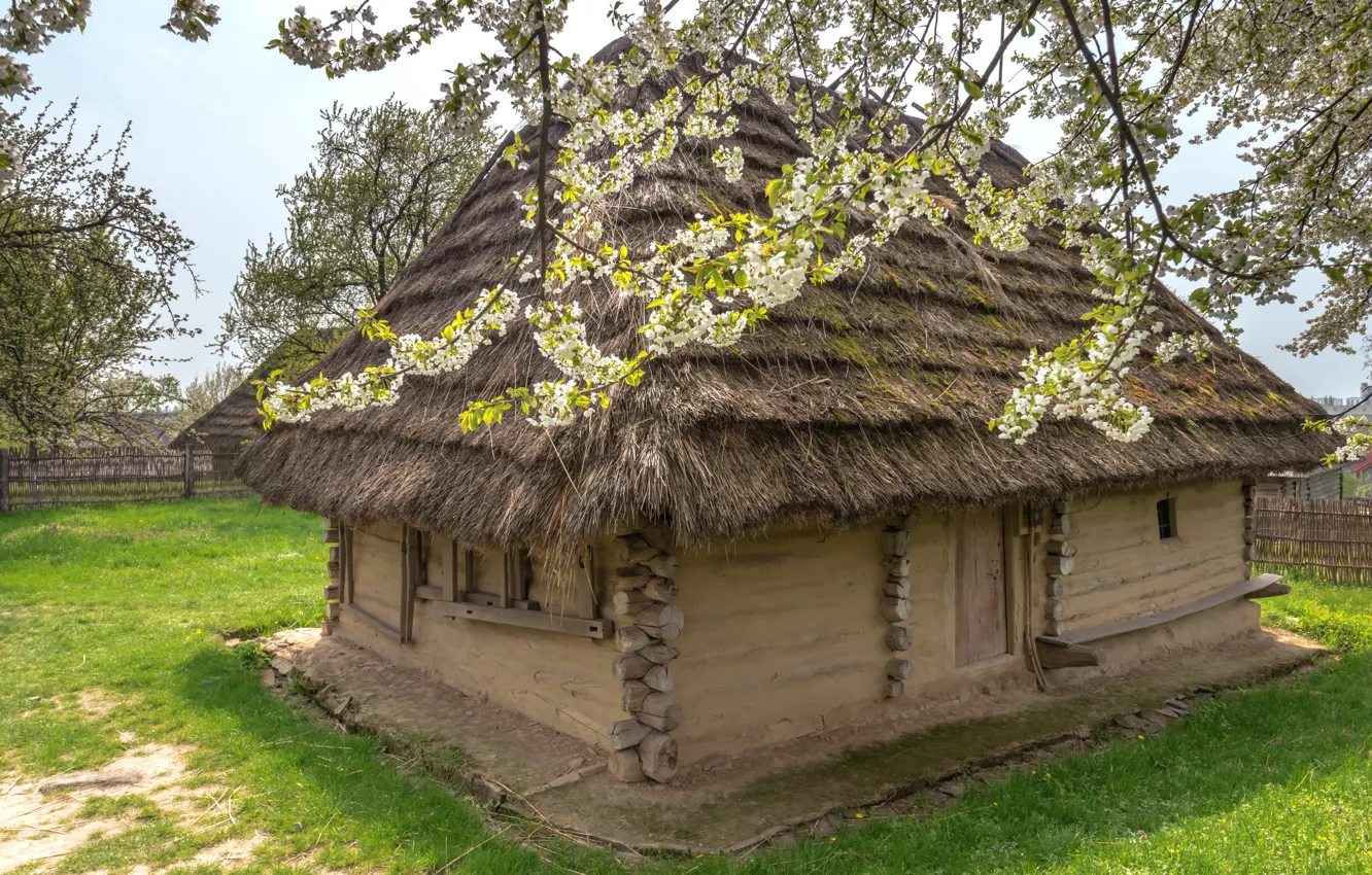 Photo wallpaper grass, trees, house, the fence, garden, Ukraine, hut, blooming