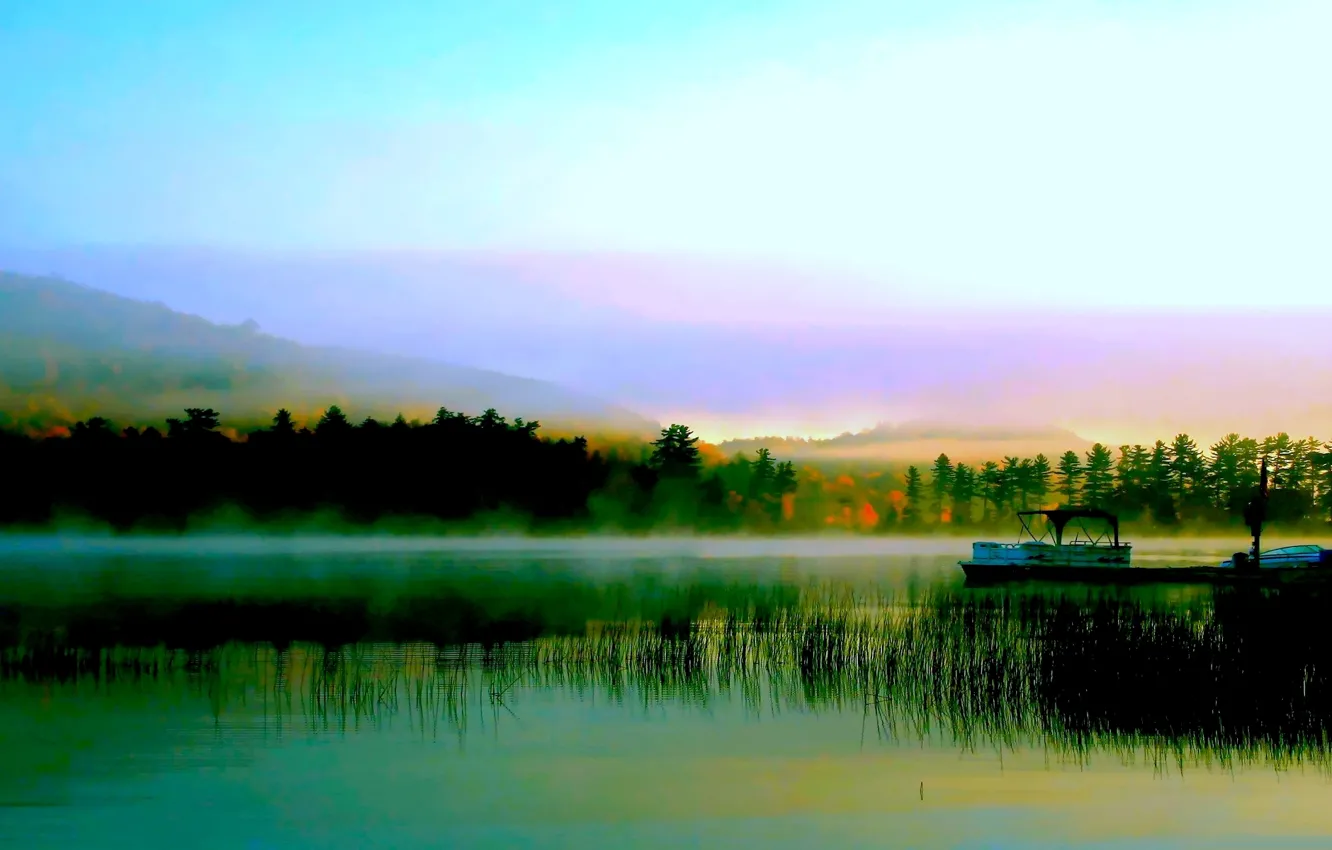 Photo wallpaper forest, river, boat, morning