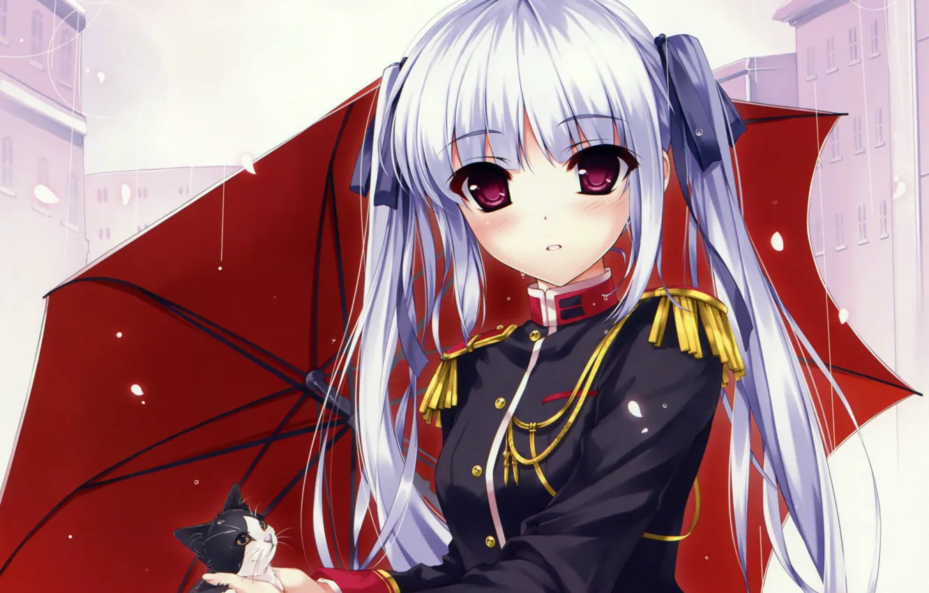 Photo wallpaper look, girl, the city, rain, umbrella, kitty, knight, anime