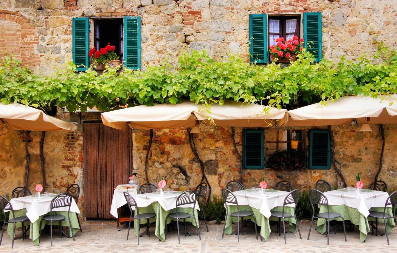 Photo wallpaper flowers, wall, Windows, cafe, ivy, tables