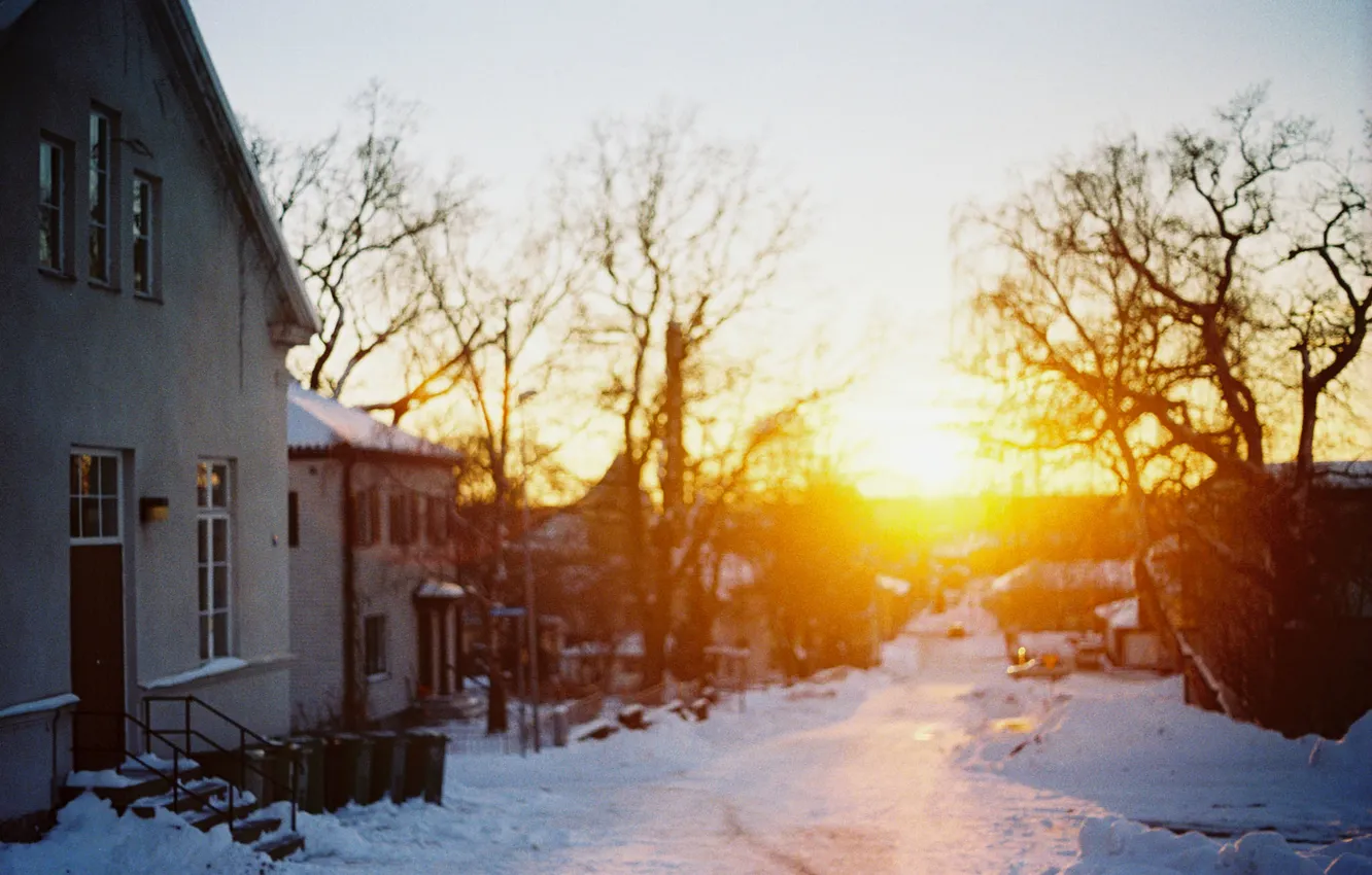 Photo wallpaper winter, the sky, the sun, snow, trees, sunset, branches, street
