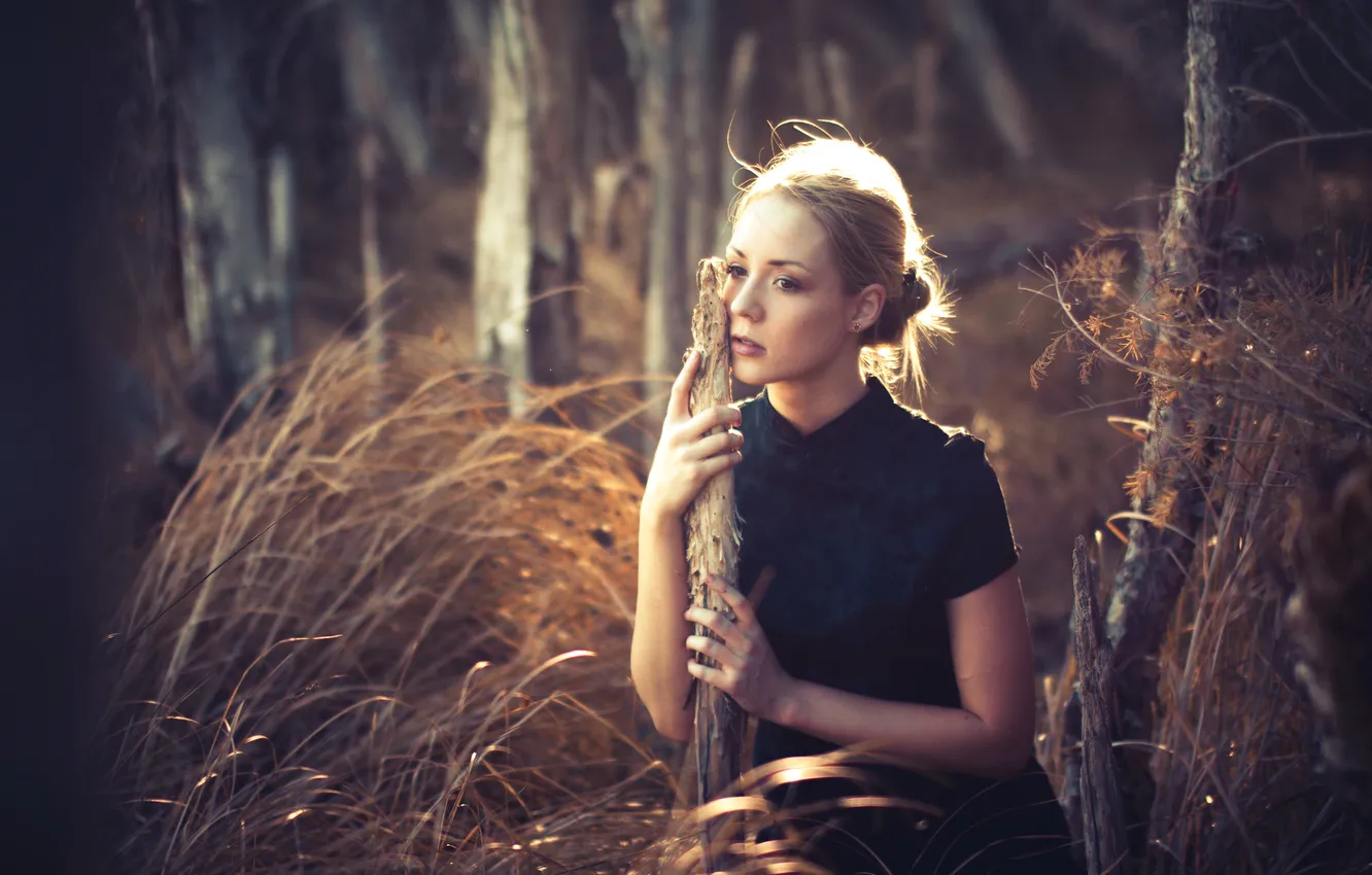 Photo wallpaper look, nature, portrait, bokeh