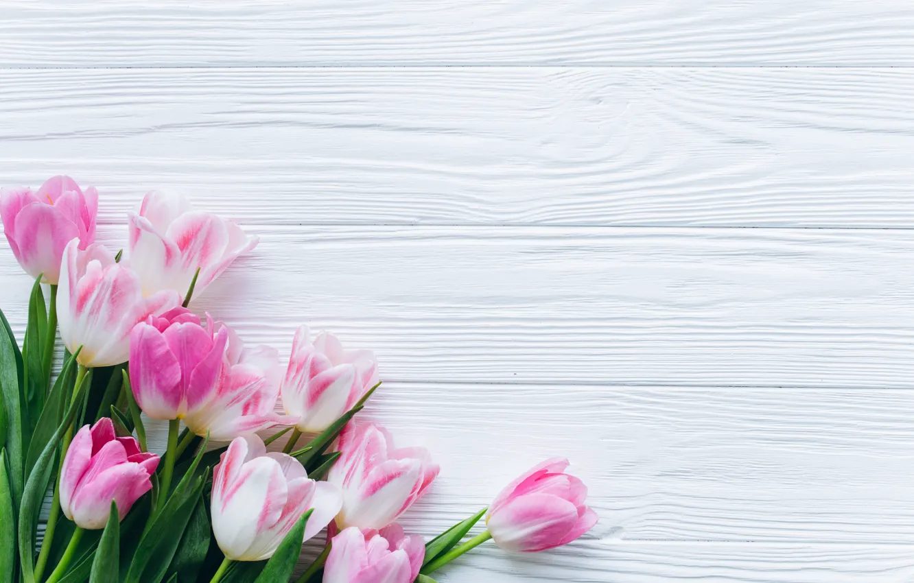 Photo wallpaper flowers, tulips, pink, fresh, wood, pink, flowers, beautiful