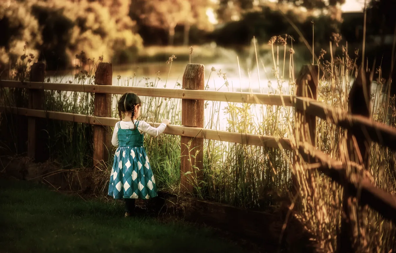 Photo wallpaper summer, the fence, girl