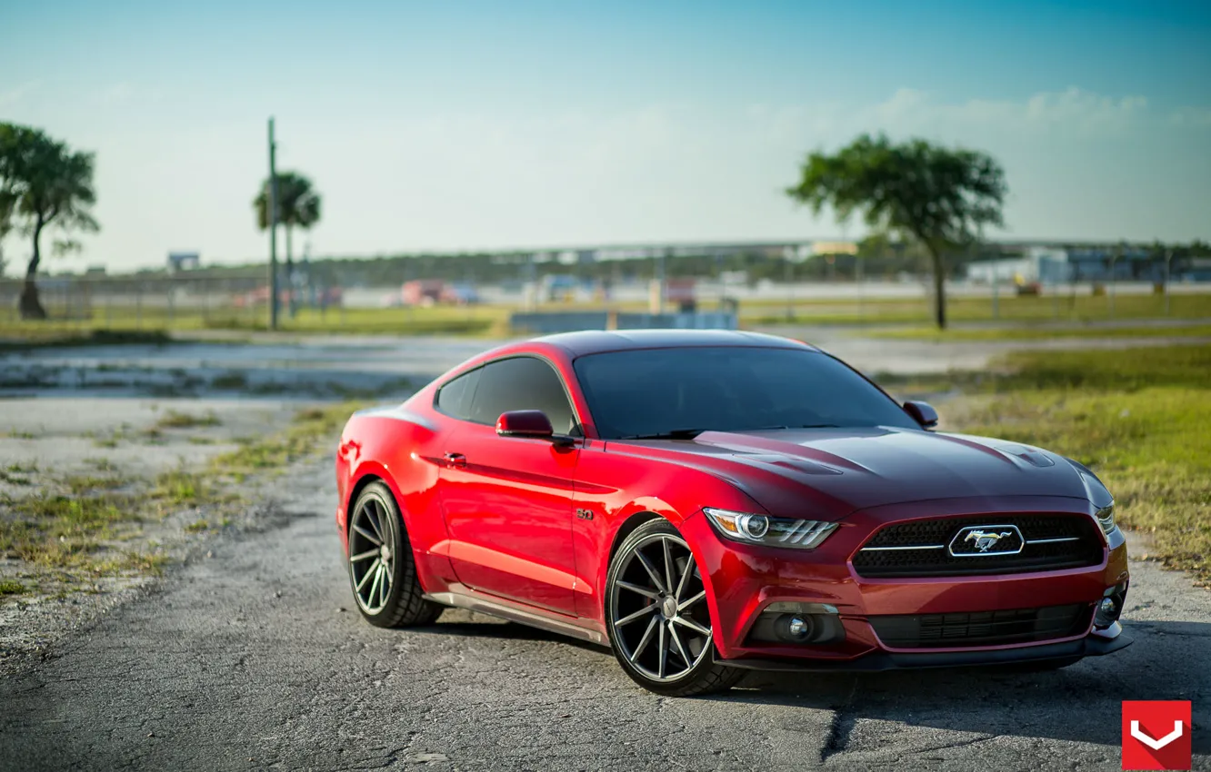 Photo wallpaper Mustang, Ford, CVT, Anniversary, 50th, Gloss, Graphite, Pack