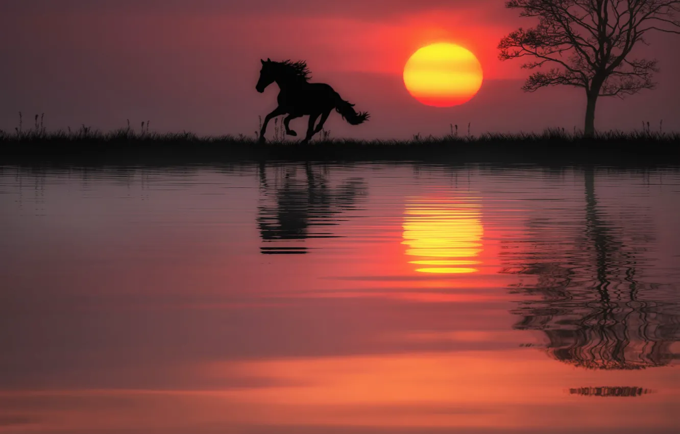 Photo wallpaper water, the sun, trees, sunset, reflection, horse, horse