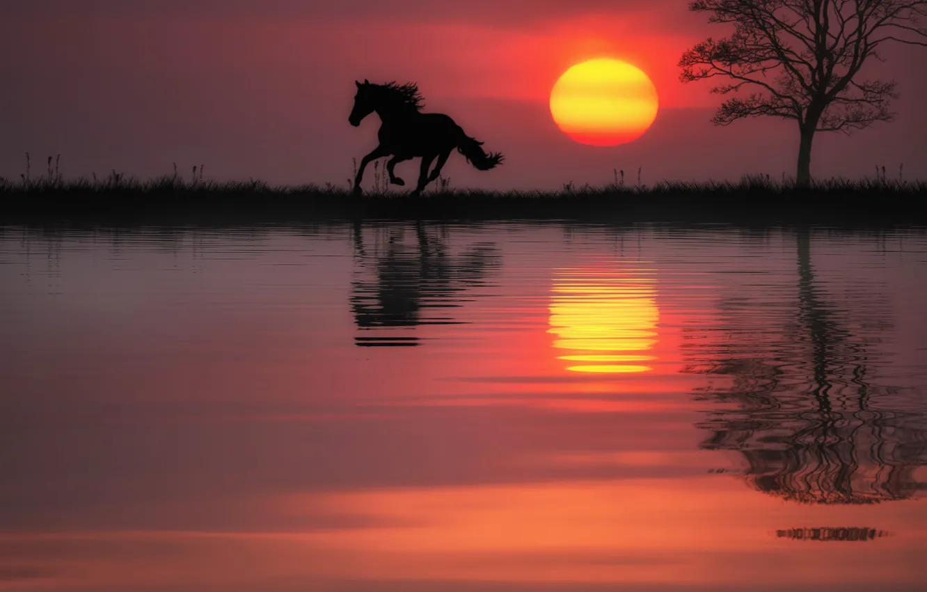 Photo wallpaper water, the sun, sunset, reflection, tree, horse, horse