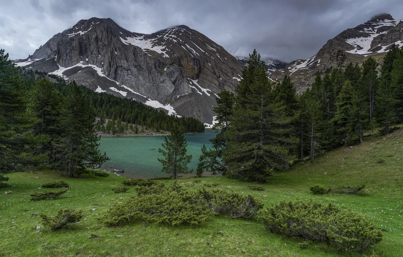 Photo wallpaper lake, mountains, shore, forest, glade, slope