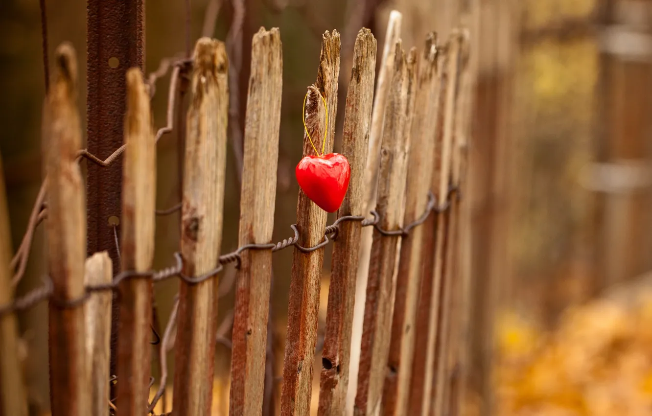Photo wallpaper light, heart, the fence
