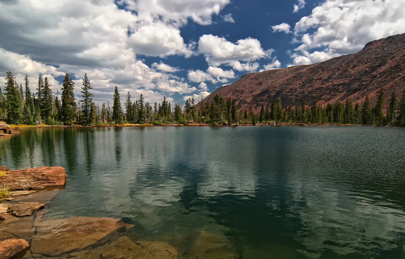 Photo wallpaper forest, clouds, mountains, lake