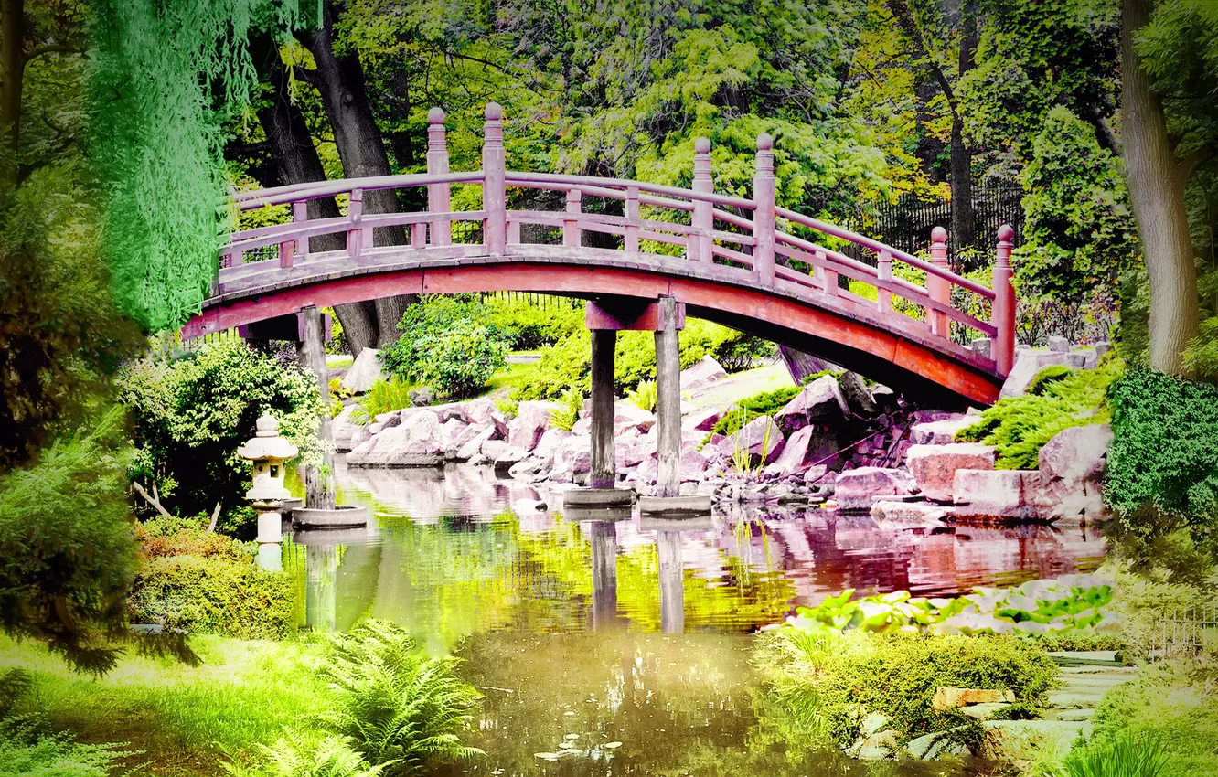 Photo wallpaper trees, nature, Park, stream, stones, the bridge, fern