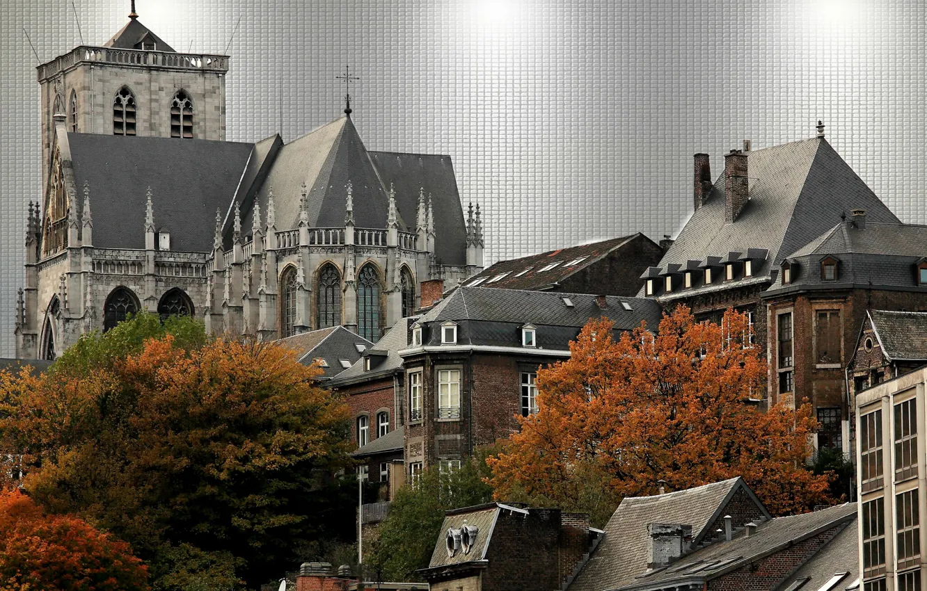 Photo wallpaper Belgium, Basilica Saint-Martin, Sun, Jonfosse
