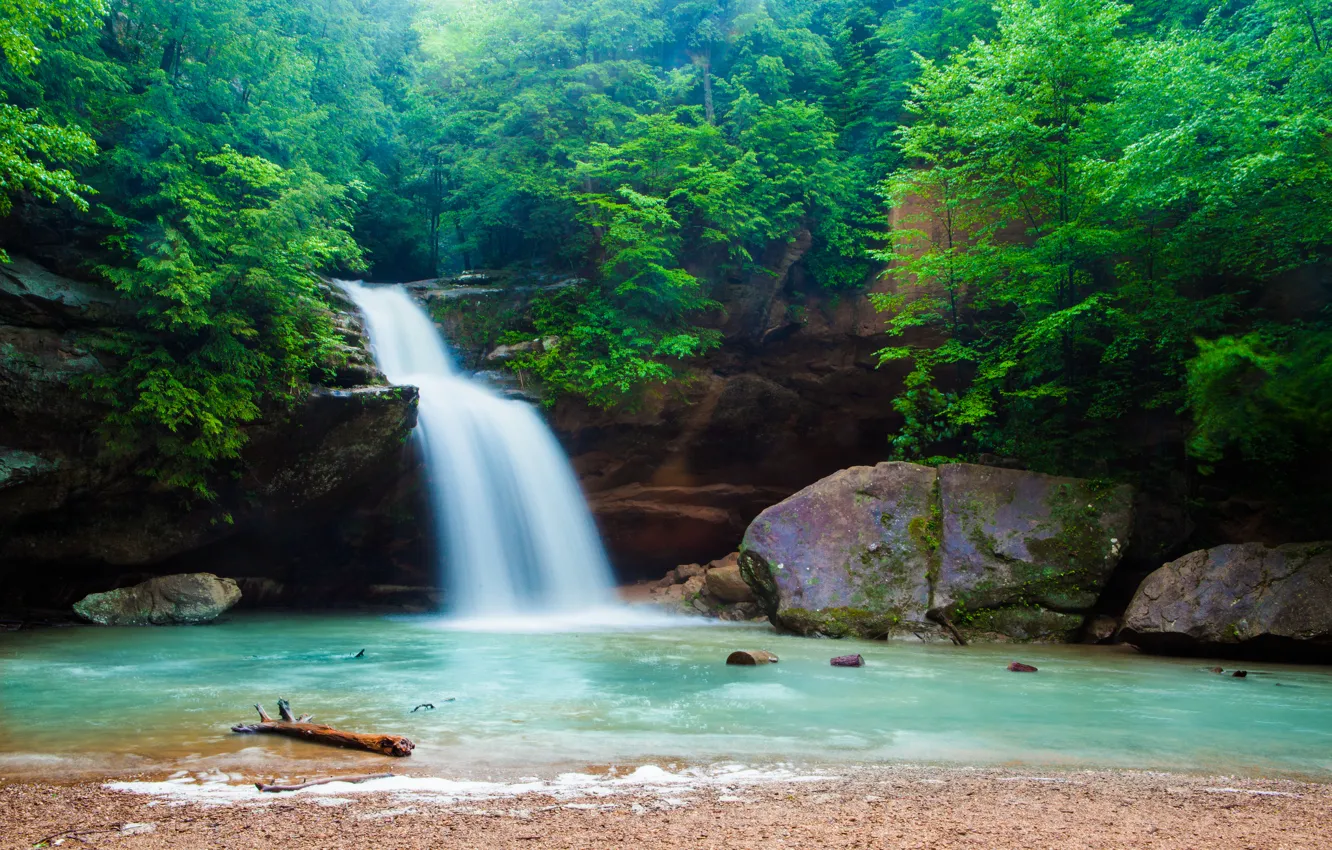 Photo wallpaper forest, river, waterfall