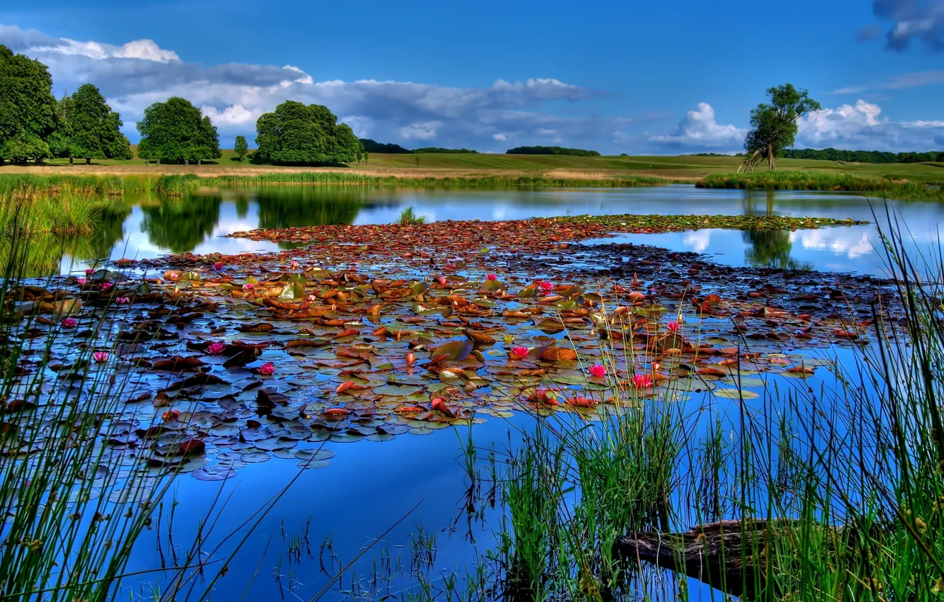 Photo wallpaper the sky, water, landscape, lake, river, Lily, fishing