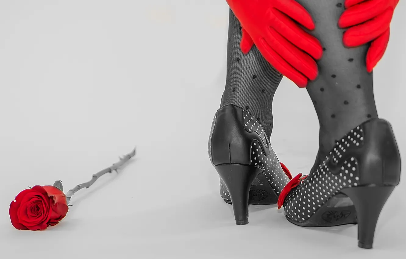 Photo wallpaper background, feet, roses