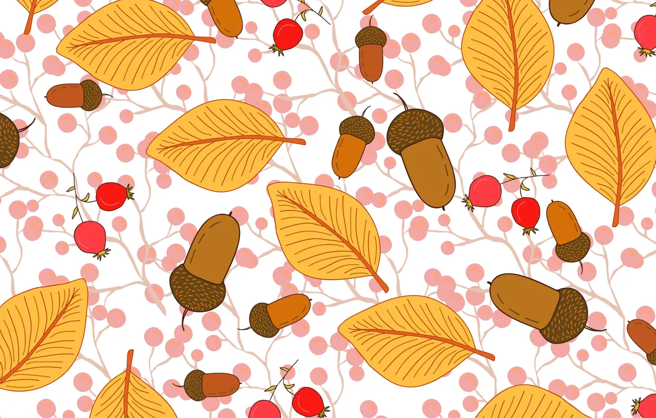 Photo wallpaper leaves, background, texture, acorns