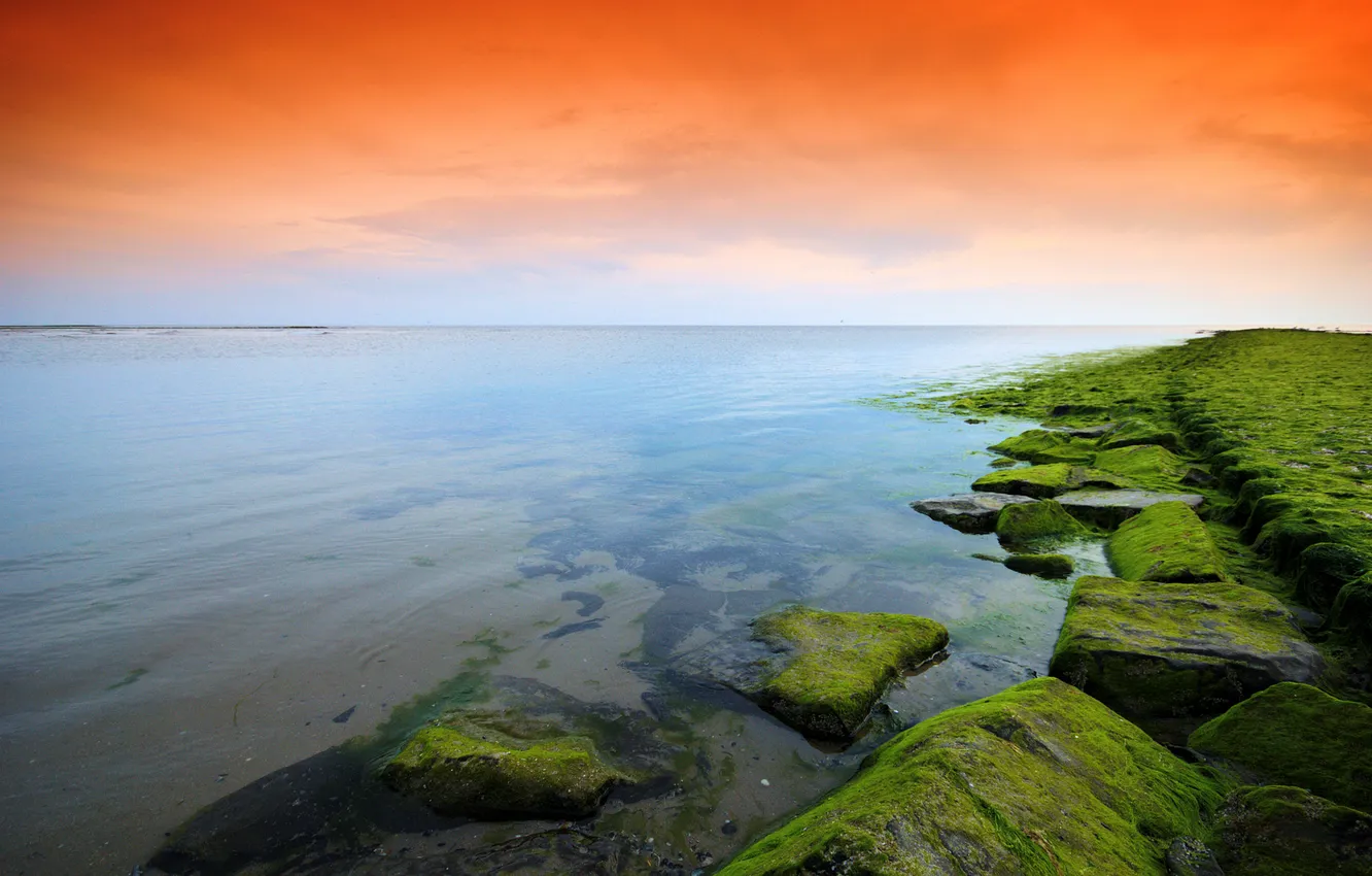 Photo wallpaper sea, the sky, stones, moss, orange