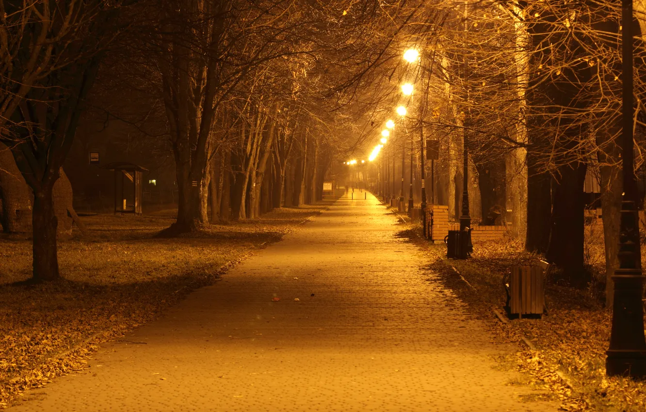 Photo wallpaper autumn, trees, lights, lights, trees, autumn, street, lanterns