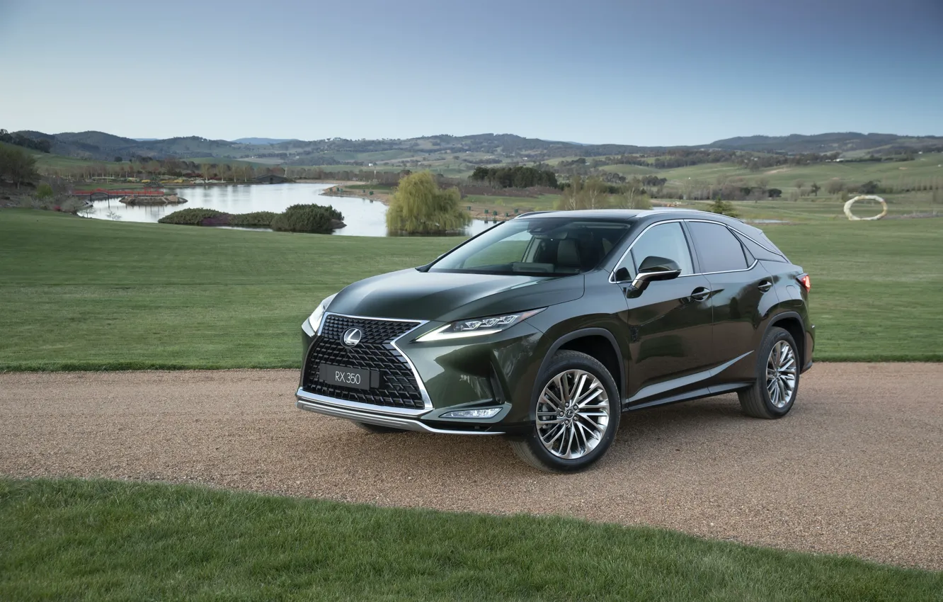 Photo wallpaper green, Lexus, Lexus RX, 2019, Lexus RX 350