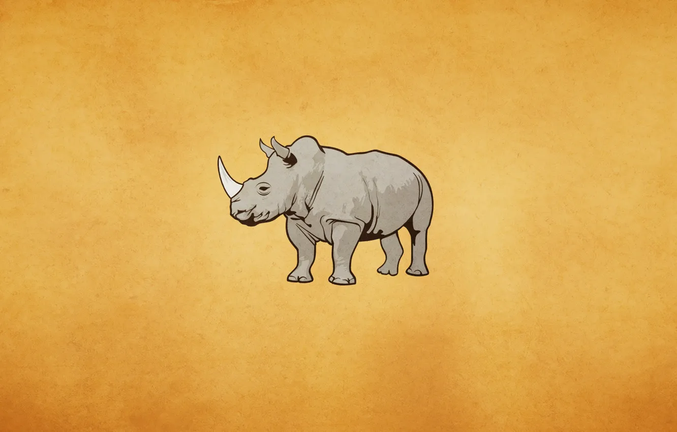 Photo wallpaper Rhino, light background, rhino, rhinoceros