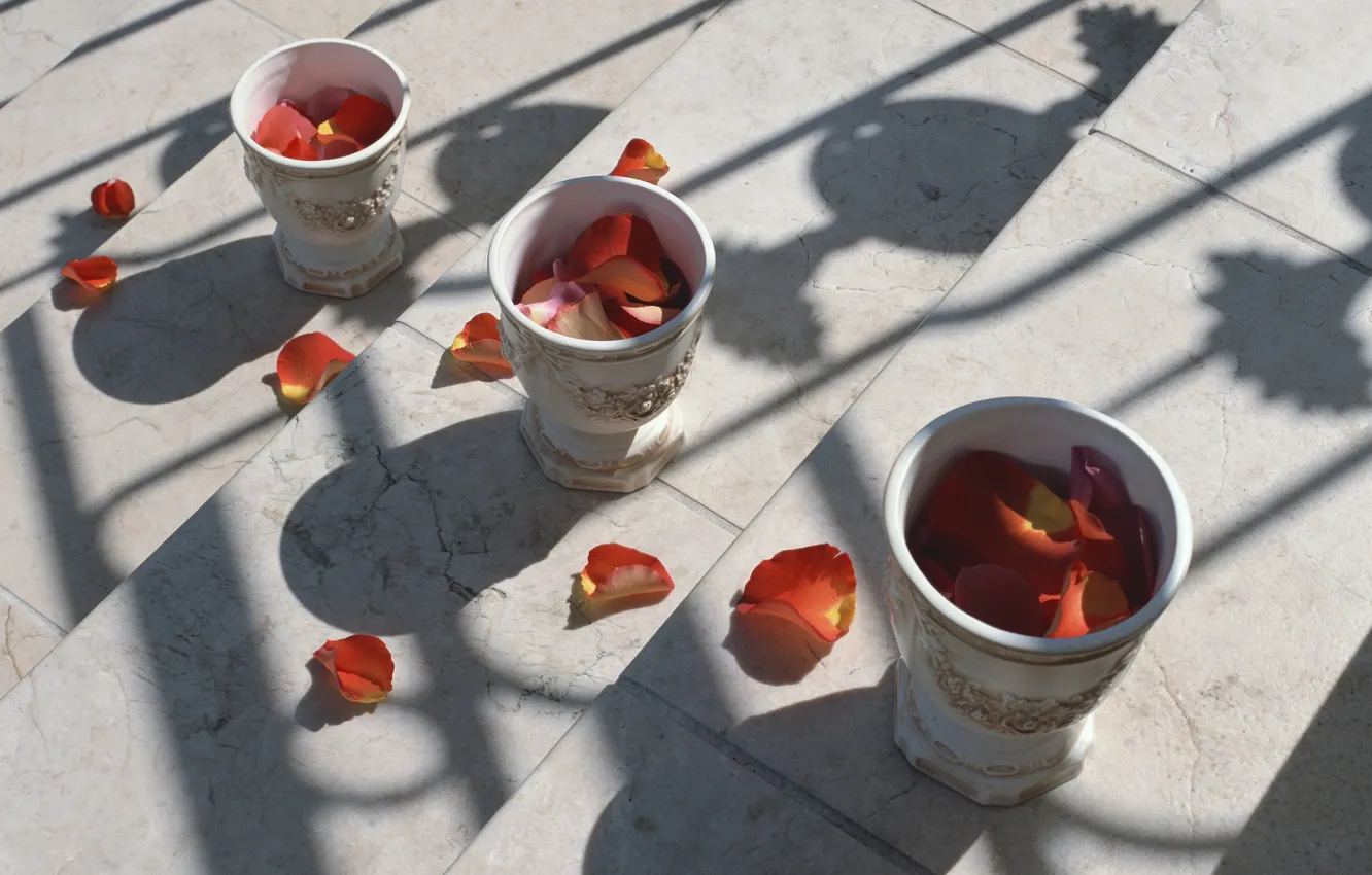 Photo wallpaper flowers, ladder, vase, rose petals, stepenice