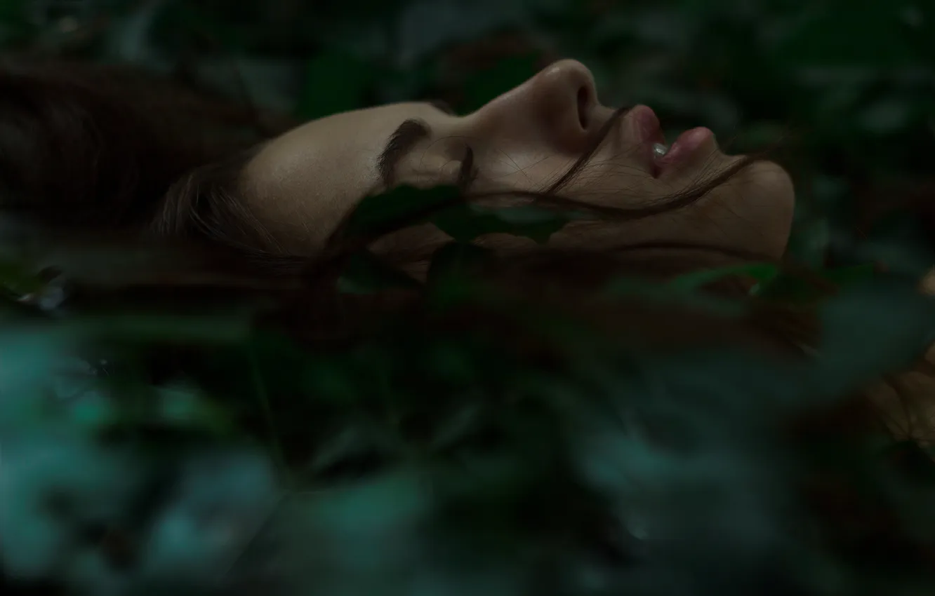 Photo wallpaper girl, face, profile