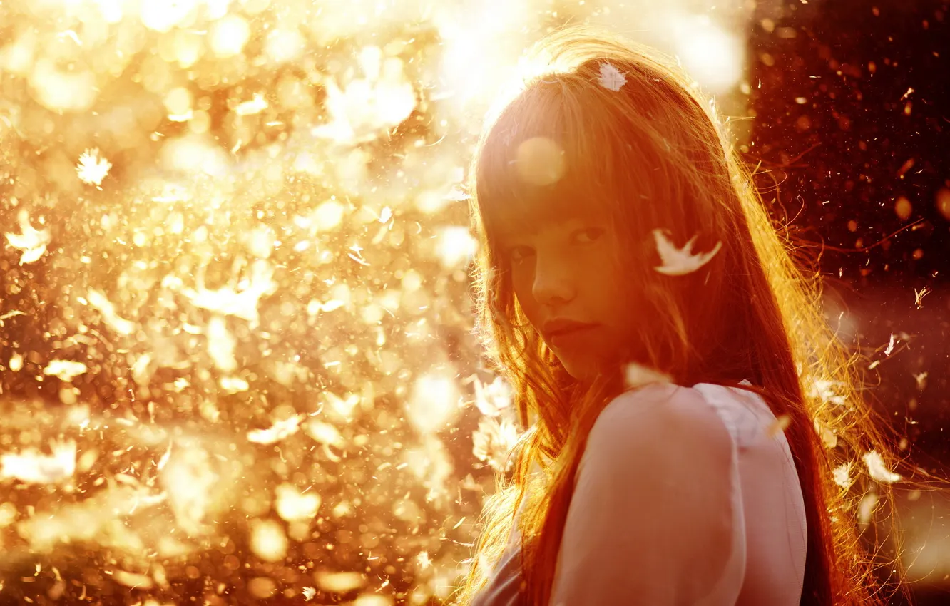 Photo wallpaper look, girl, light