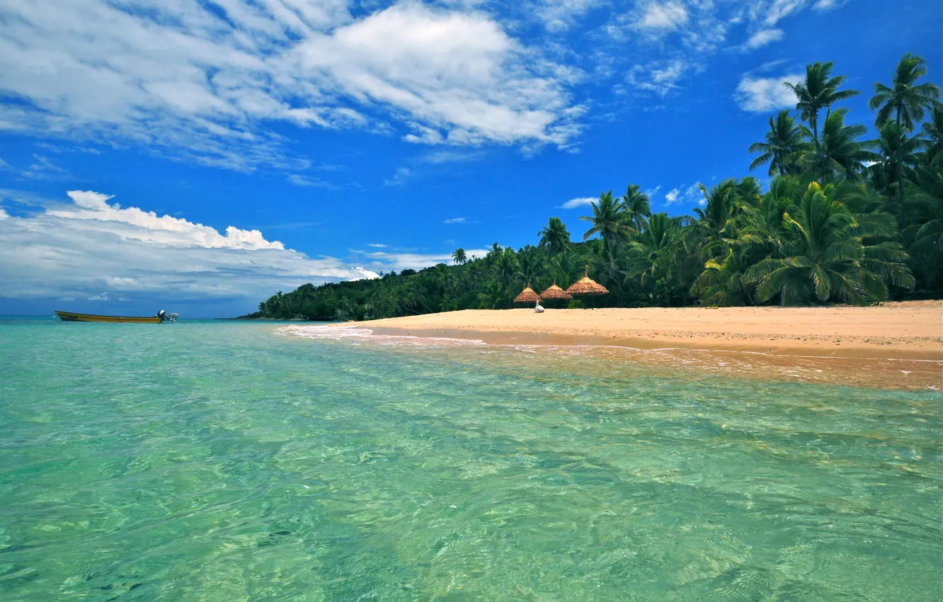 Photo wallpaper beach, palm trees, the ocean, shore, exotic