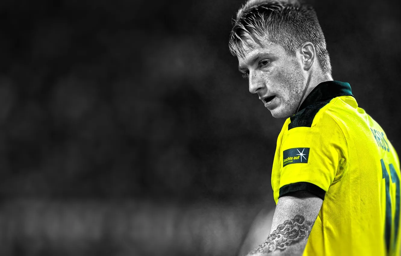 Photo wallpaper football, sport, player, Woody, Marco, Borussia Dortmund, Borussia Dortmund, Ball Play Association Borussia