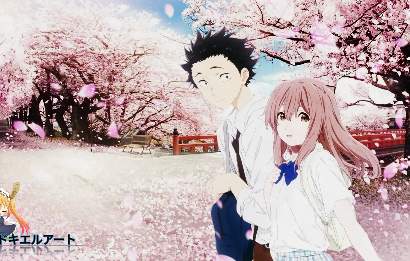 Photo wallpaper Park, spring, Sakura, two, You no Katachi, Form voice