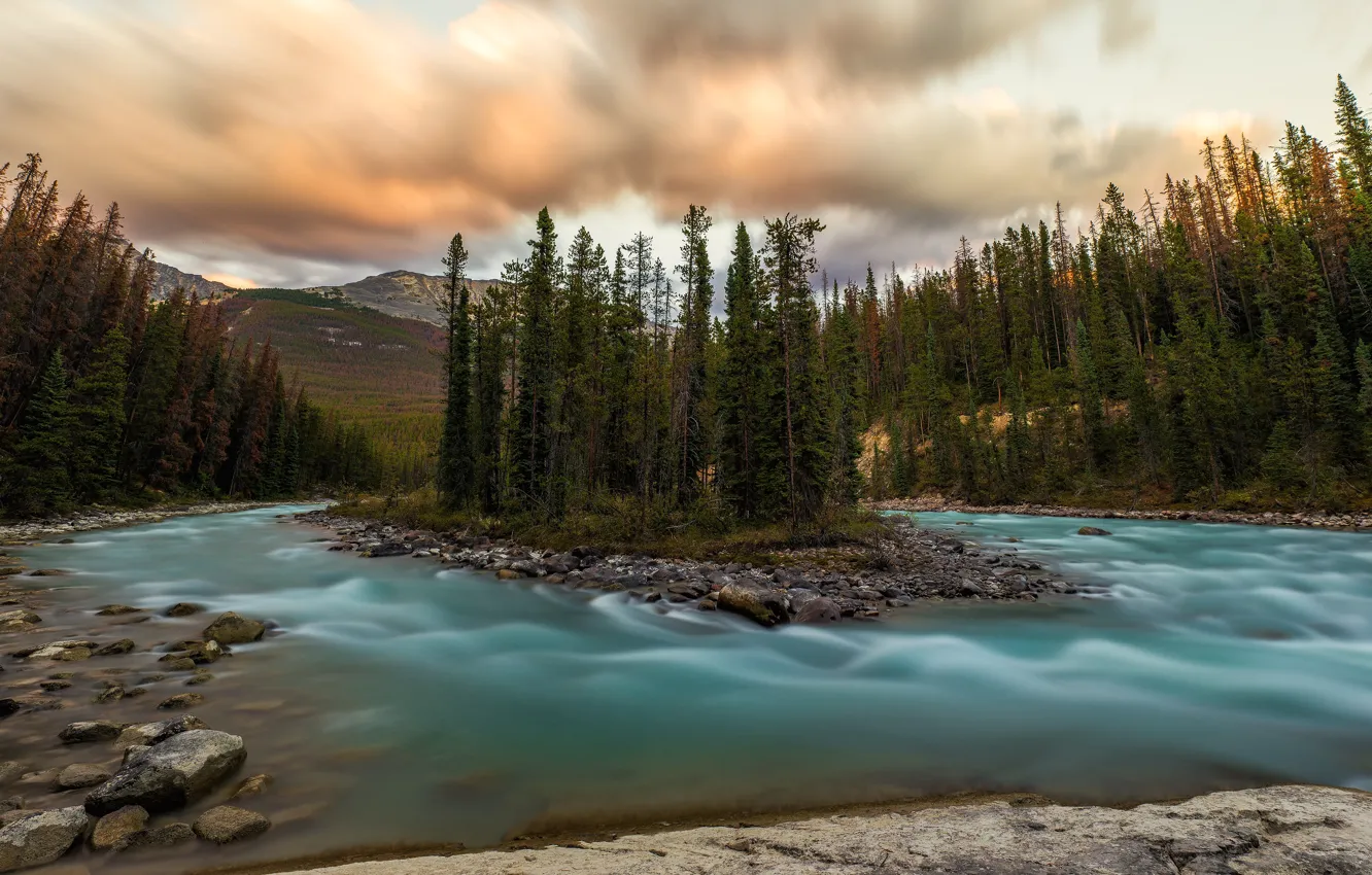 Photo wallpaper forest, the sky, clouds, trees, mountains, river, stones, shore