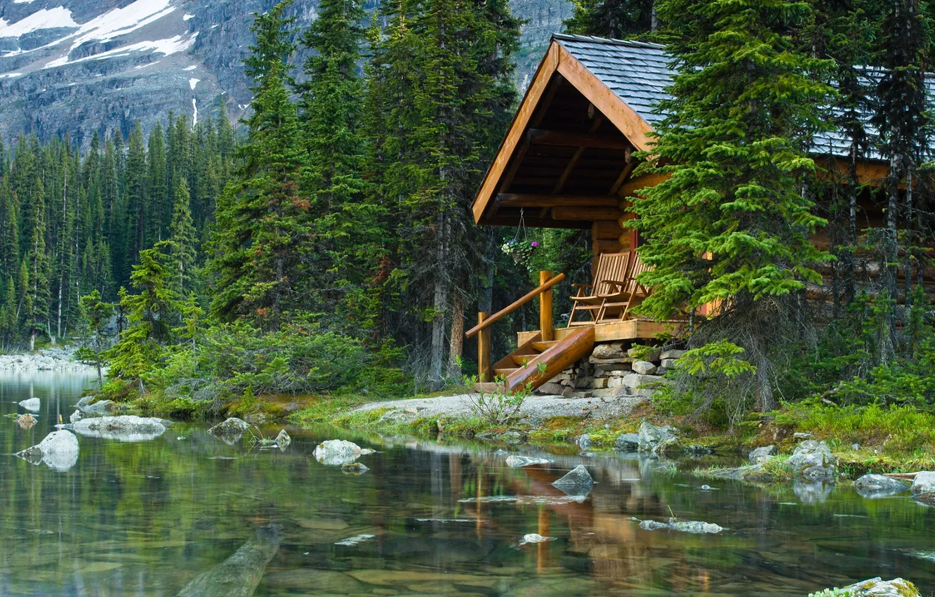 Photo wallpaper forest, grass, trees, landscape, nature, lake, plant, home