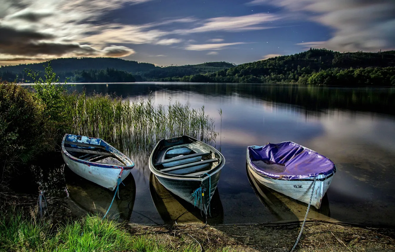 Photo wallpaper greens, nature, lake, pond, vegetation, boat, pond