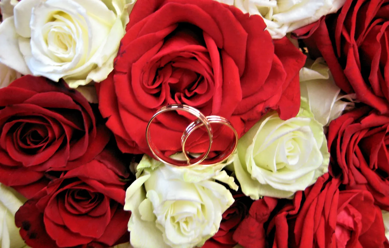 Photo wallpaper roses, Flowers, ring