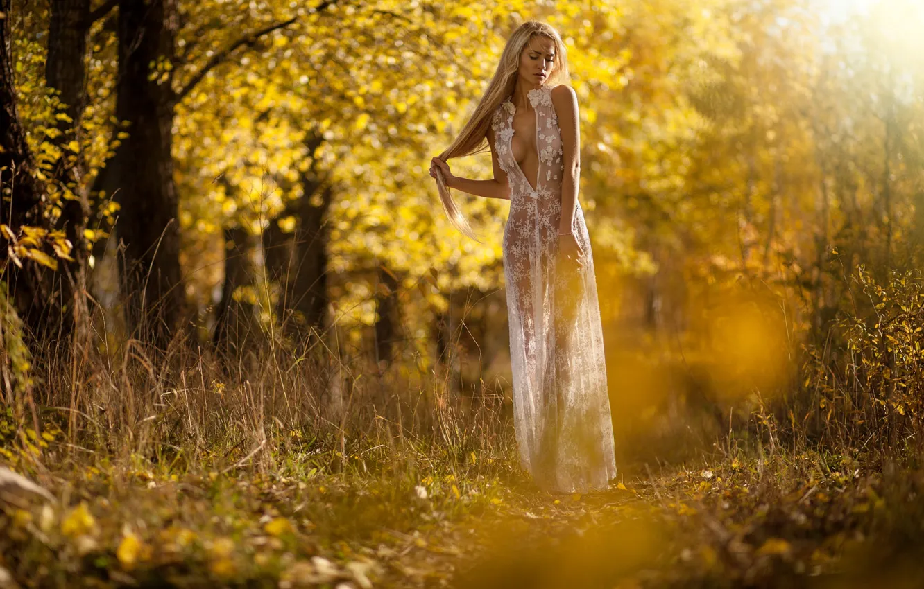 Photo wallpaper autumn, chest, grass, girl, light, trees, nature, Park